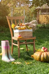 Rubber boots, chair, pumpkin and apples on green grass in park. Autumn atmosphere