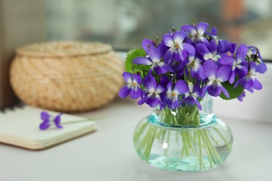 Beautiful wood violets in glass vase on window sill indoors, space for text. Spring flowers