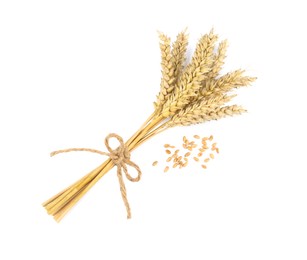 Bunch of wheat and grains on white background, top view