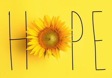 Word HOPE made with letters and beautiful sunflower on yellow background