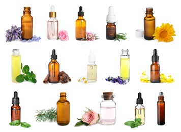 Set of different essential oils for aromatherapy on white background 