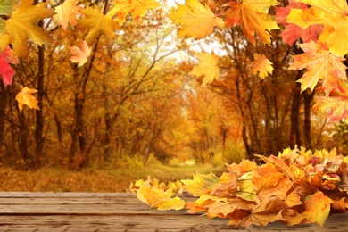 Image of Wooden surface with beautiful autumn leaves in park, space for text