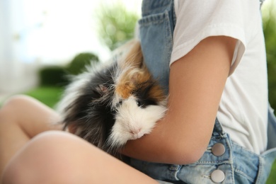 Photo of Little girl with guinea pig outdoors, closeup. Childhood pet