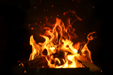Photo of Fireplace with burning wood, closeup view. Winter vacation