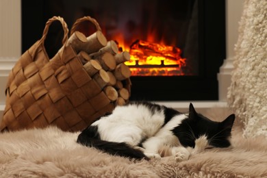 Adorable cat sleeping on furry rug near fireplace in room. Cozy atmosphere