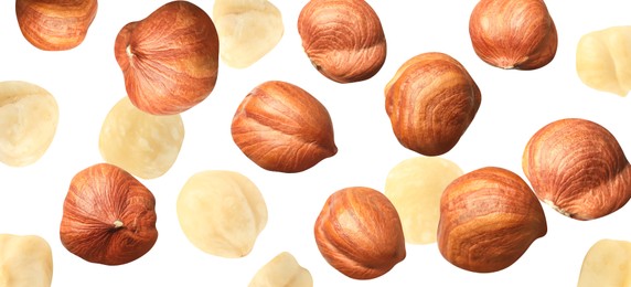 Tasty hazelnuts falling on white background, banner design. Healthy snack
