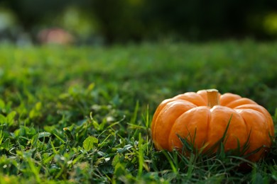 Photo of Fresh ripe orange pumpkin on green grass, space copy text