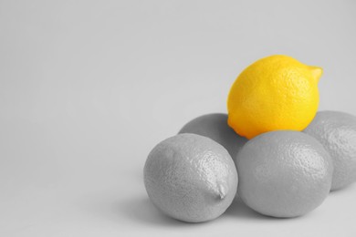 Fresh ripe lemons on light grey background, space for text. Black and white tone with selective color effect