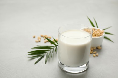 Vegan milk and pine nuts on light table, closeup. Space for text