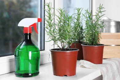 Photo of Beautiful green potted rosemary and spray bottle on windowsill