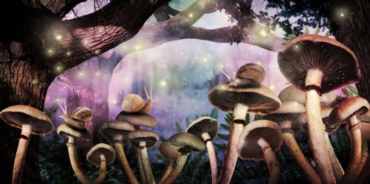 Fantasy world. Mushrooms with snails and magic lights in enchanted forest, banner design 