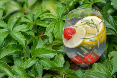 Delicious refreshing lemonade with raspberries surrounded by green leaves outdoors, closeup. Space for text
