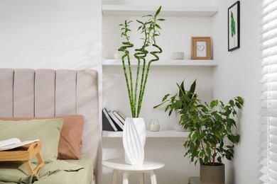 Vase with green bamboo stems on table in bedroom