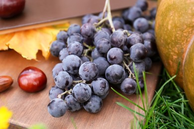 Photo of Delicious grapes and chestnuts on wooden board outdoors, closeup. Autumn harvest