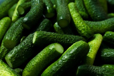 Photo of Fresh ripe cucumbers as background, closeup. Pickling vegetables