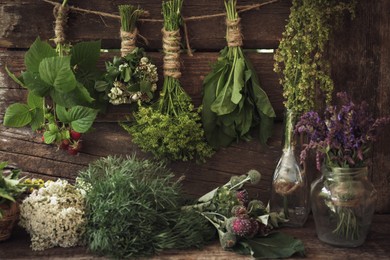 Photo of Bunches of different beautiful dried flowers and herbs indoors