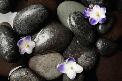 Photo of Stones and flowers in water as background, top view. Zen lifestyle