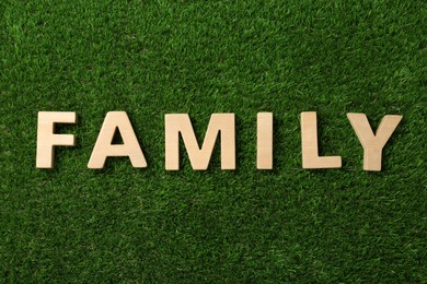 Word Family made with wooden letters on green grass, flat lay