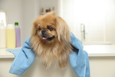 Photo of Cute Pekingese dog with towel in bathroom. Pet hygiene