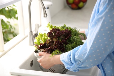 Woman washing fresh lettuce and dill in kitchen sink, closeup