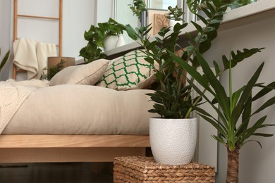 Stylish bedroom interior with beautiful house plants. Home design idea