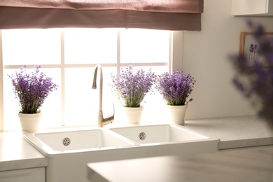 Photo of Beautiful lavender flowers on countertop near window in kitchen