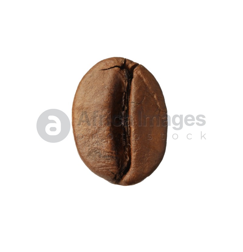 Brown roasted coffee bean isolated on white