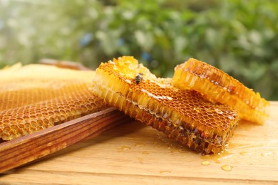 Fresh delicious honeycombs and hive frame on wooden table