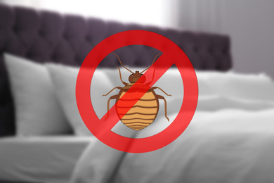 Image of Clean mattress and pillows without bed bugs in room