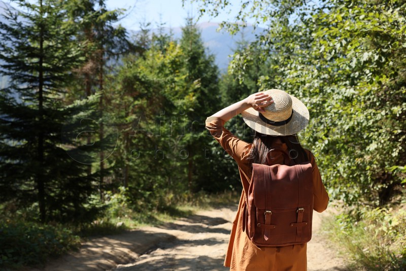 Photo of Woman with backpack and hat walking in forest, back view