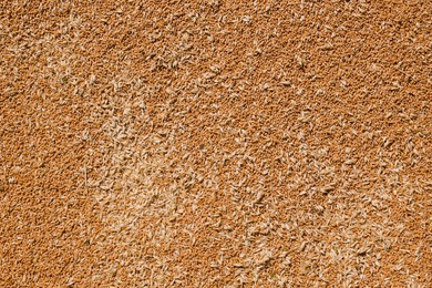 Pile of wheat grains as background, closeup view