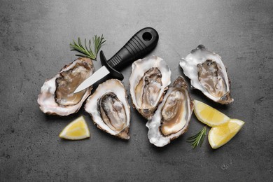 Fresh oysters with lemon, rosemary and knife on grey table, flat lay