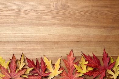 Dry autumn leaves of Japanese maple tree on wooden table, flat lay. Space for text