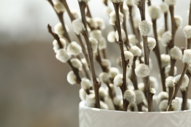 Beautiful pussy willow branches in vase on blurred background, closeup. Space for text