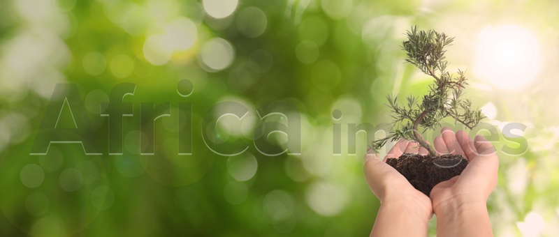 Woman holding small tree in soil on blurred green background, banner design with space for text. Ecology protection