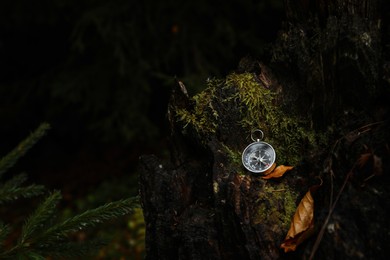 Compass on mossy tree bark outdoors, space for text