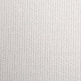 Blank white canvas as background. Mockup for design