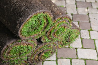 Photo of Closeup view of grass sod rolls on backyard