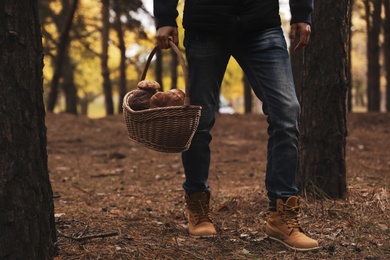 Man with basket full of wild mushrooms in autumn forest, closeup