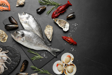 Fresh fish and different seafood on black table, flat lay