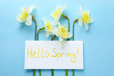 Card with words HELLO SPRING and narcissus flowers on light blue background, flat lay