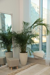 Beautiful green houseplant, mirror and ottoman near window indoors. Interior design