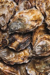 Fresh closed oysters as background, top view