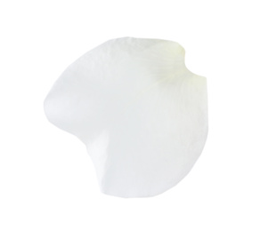 Fresh light rose petal isolated on white