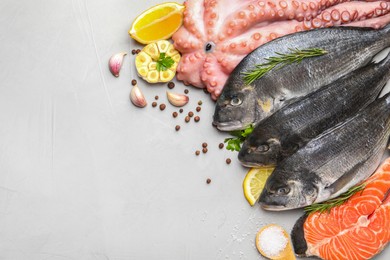 Photo of Flat lay composition with fresh raw dorado fish and different seafood, spices on light grey table. Space for text