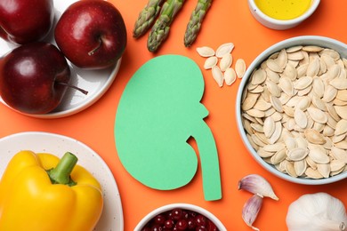Photo of Paper cutout of kidney and different healthy products on orange background, flat lay