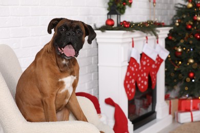 Photo of Cute dog on armchair in room decorated for Christmas