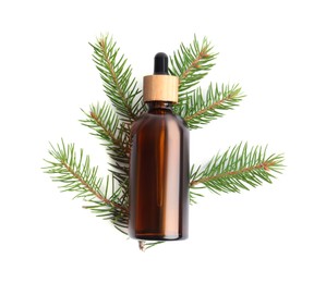 Photo of Bottle of pine essential oil on white background, top view