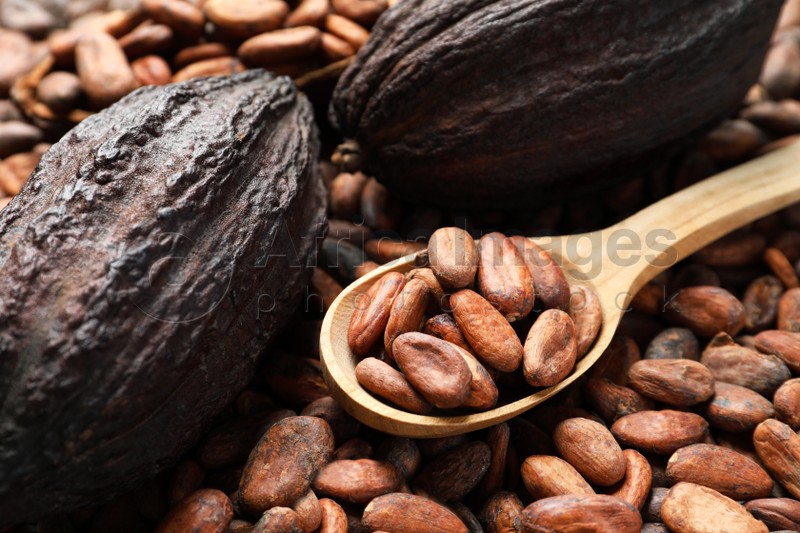 Wooden spoon and pods on cocoa beans, closeup