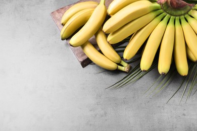 Bunch of ripe baby bananas on grey table, above view. Space for text